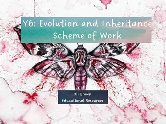 Evolution and Inheritance Scheme of Work