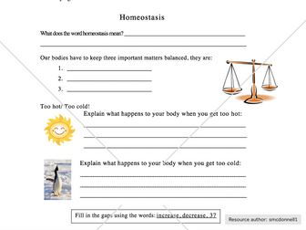 Homeostasis worksheet