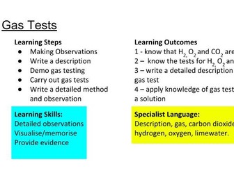 Gas tests year 7