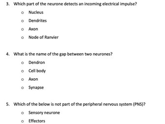 The Human Nervous System Quiz pdf