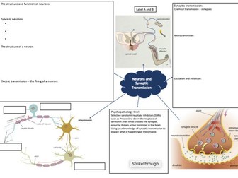 AQA A-Level Biopsychology Mind Maps