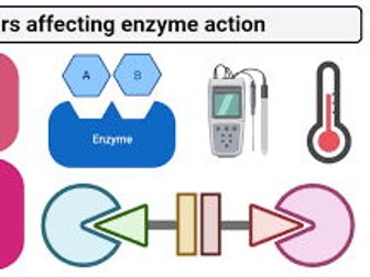 Factors affecting enzymes activity