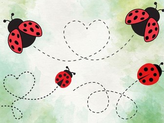 Ladybird Funky Fingers