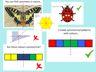Introducing Symmetry PPT