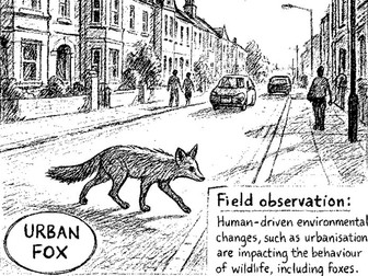 Urban Tails - The British Carnivore Project