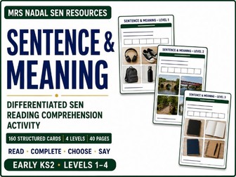 Sentence & Meaning Cards | Differentiated SEN Reading Comprehension Activity | 4 Levels
