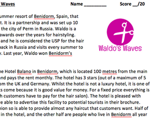 A-Level/ IB Business Case Study - Market Segmentation - Waldo's Waves