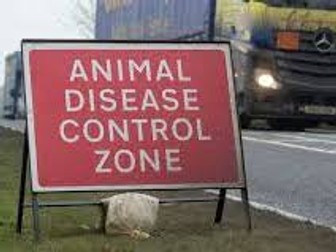 Notifiable Disease Revision Matt