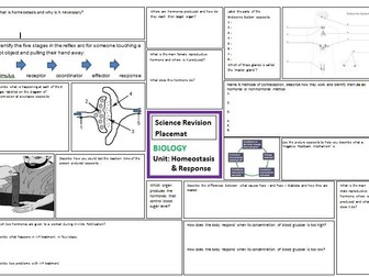 Homeostasis & Response Revision Sheet for AQA GCSE Combined Science Trilogy (includes answers)