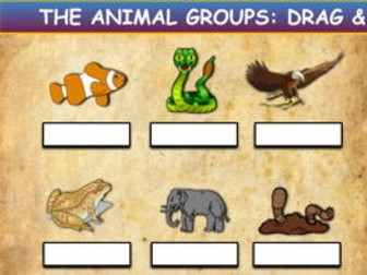 The Animals Groups: Drag & Drop Worksheet: Google Slides. Powerpoint