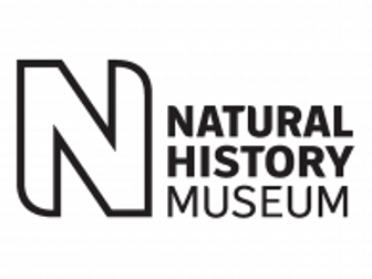 National History Museum Treasure Trail