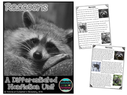 Differentiated Nonfiction Unit: Raccoons