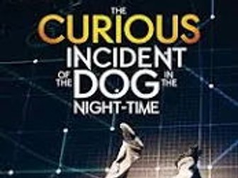 The Curious Incident of the Dog in The Nighttime