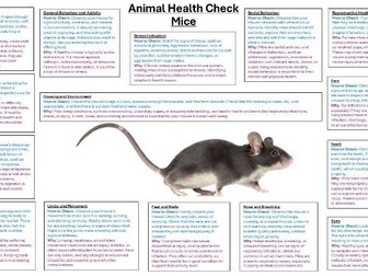 Unit 4/6 BTEC Level 3 Animal Managment Health Check Posters