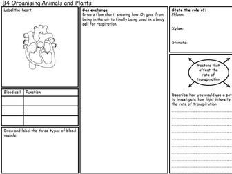 GCSE Organising Animals and Plants Revision Sheet