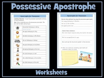 The Possessive Apostrophe / Apostrophe for Possession Worksheet