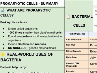 B1 AQA Trilogy Prokaryotic Cells Summary + Activity Sheet