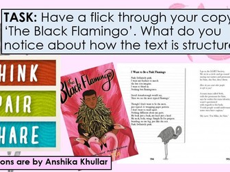 The Black Flamingo - L4: What is the Genre and Narrative Structure of The Black Flamingo?