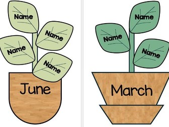 Class Birthdays Display - Plants in Plant Pots (Cool Colours)