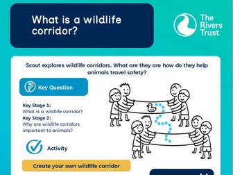 Activity card: What is a wildlife corridor?