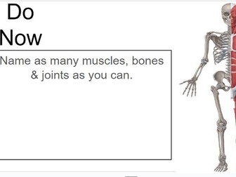 Musculoskeletal system