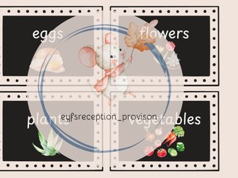 Feed the Hungry Dinosaurs – Complete EYFS Maths Provision Pack