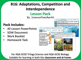 B16 Lessons and SOW