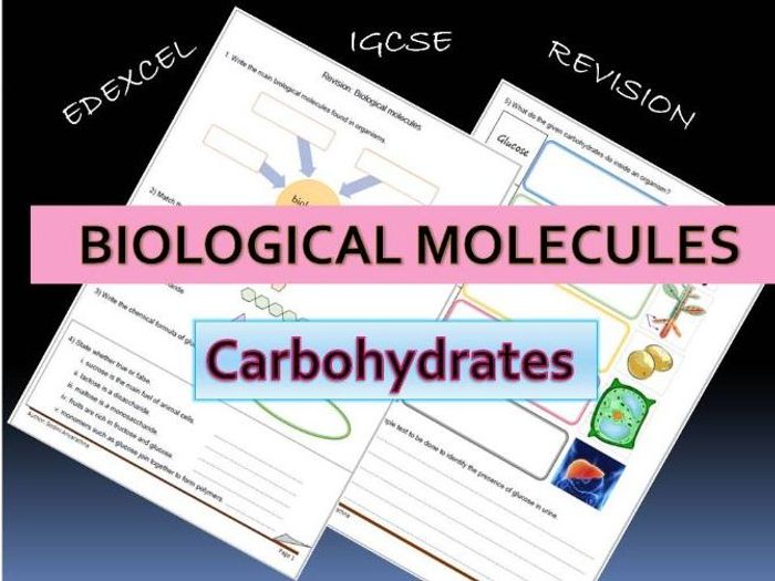 IGCSE Biological Molecules Revision By Amali525 | Teaching Resources