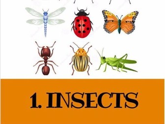 5 GREAT READING LESSONS: 1. Insects (+Listening)