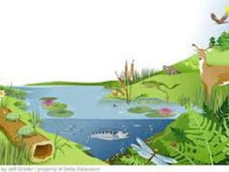 abiotic and biotic factors by archer25 teaching resources tes