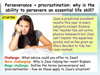 Resilience + Perseverance