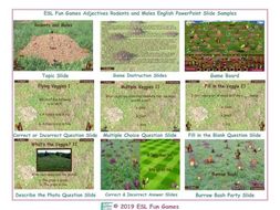 Adjectives Rodents and Moles English PowerPoint Game