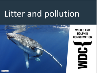Whale and Dolphin Litter and pollution resource pack - free