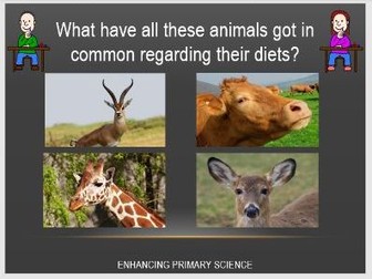 CARNIVORES, HERBIVORES and OMNIVORES