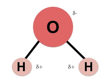 IB Biology A1.1 Water