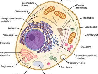 Chapters 1 (Cell Structure) and 2 (Biological Molecules) CIE Past Paper Questions