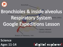 Bronchioles & alveoli #GoogleExpeditions Lesson