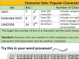 ASCII and Extended ASCII Character Sets (Worksheet) (with simple python practical)