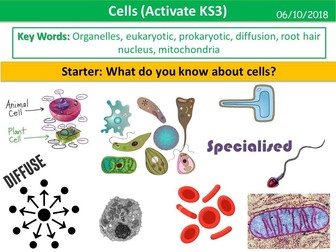 Cells (Activate KS3)