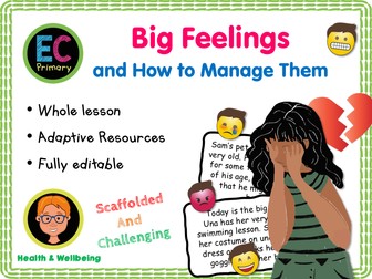 Big Feelings - Ruby's Worry KS1