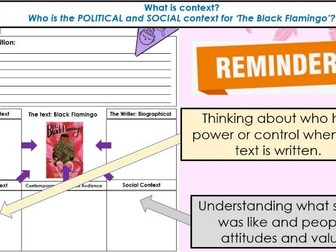 The Black Flamingo - L3: What is the Political and Social Context of The Black Flamingo?