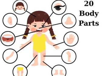 Body Parts | English Vocabulary Worksheets| Preschool & Kindergarten.