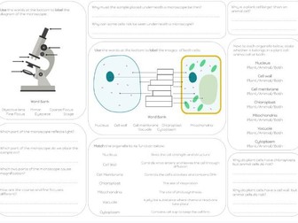 KS3 Cell topic Revision Mat