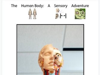 Human Body Sensory Story