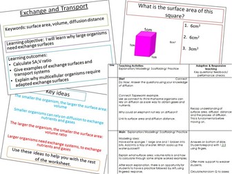 Surface area to volume ratio and the need for exchange surfaces. OCR B2.2/AQA 4.1.3