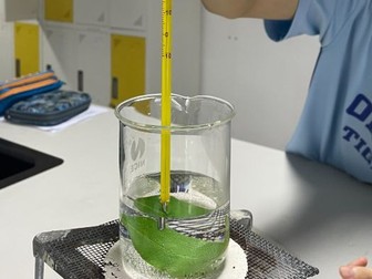 Photosynthesis worksheet