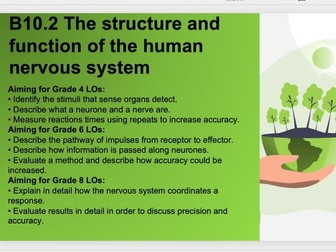 B10.2 The structure and function of the human nervous system