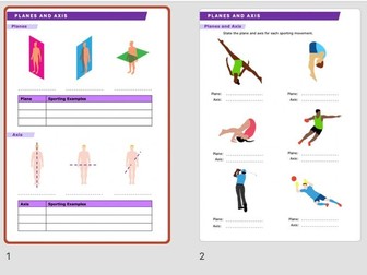 A Level PE - Planes and Axis Worksheets and Answers