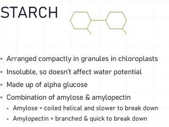 A Level Biology Biological Molecules