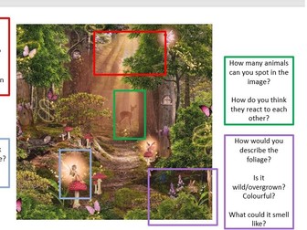 Descriptive Writing - Forest Setting